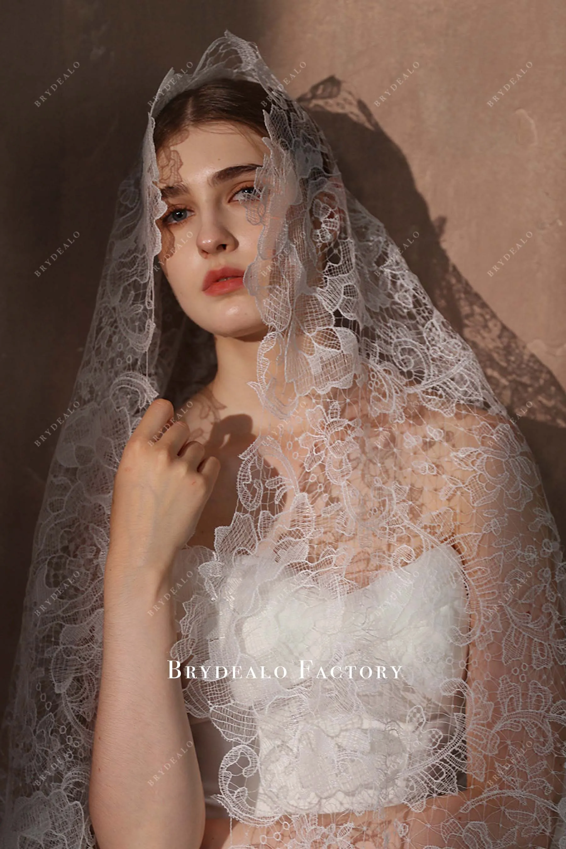 Classic Hollow Lace Single Tier Wedding Veil | Multiple Lengths