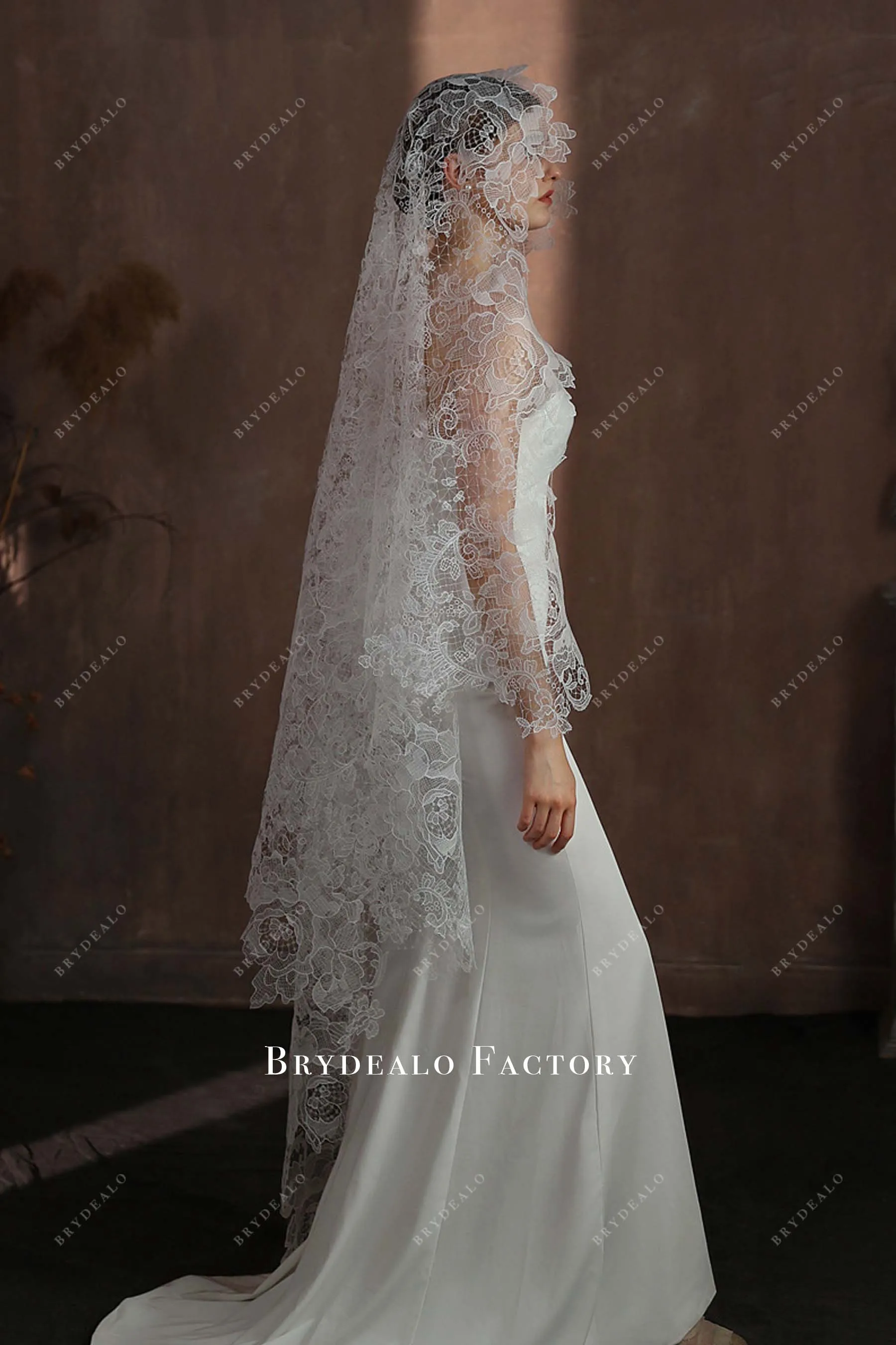 Classic Hollow Lace Single Tier Wedding Veil | Multiple Lengths