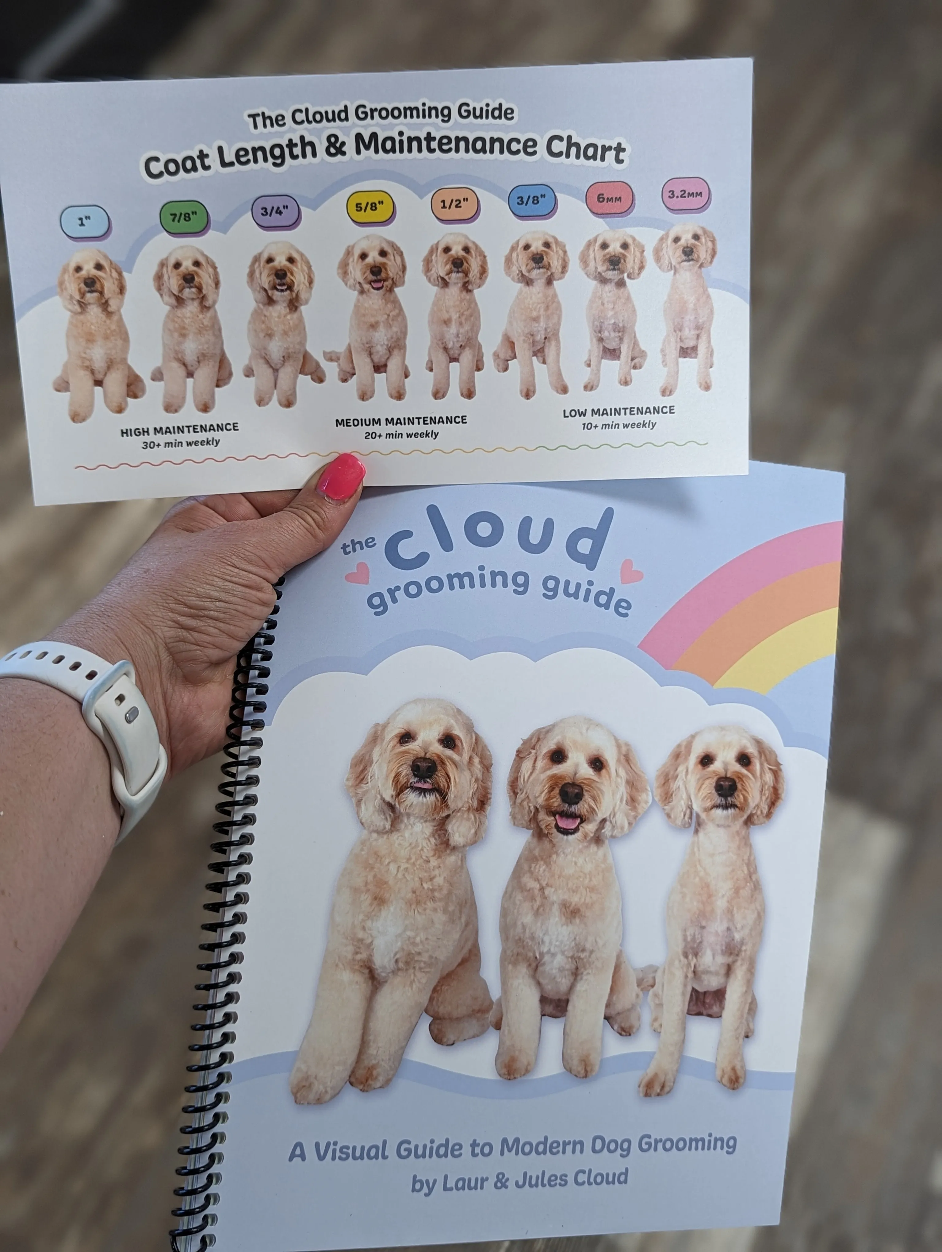 Cloud Grooming Guide