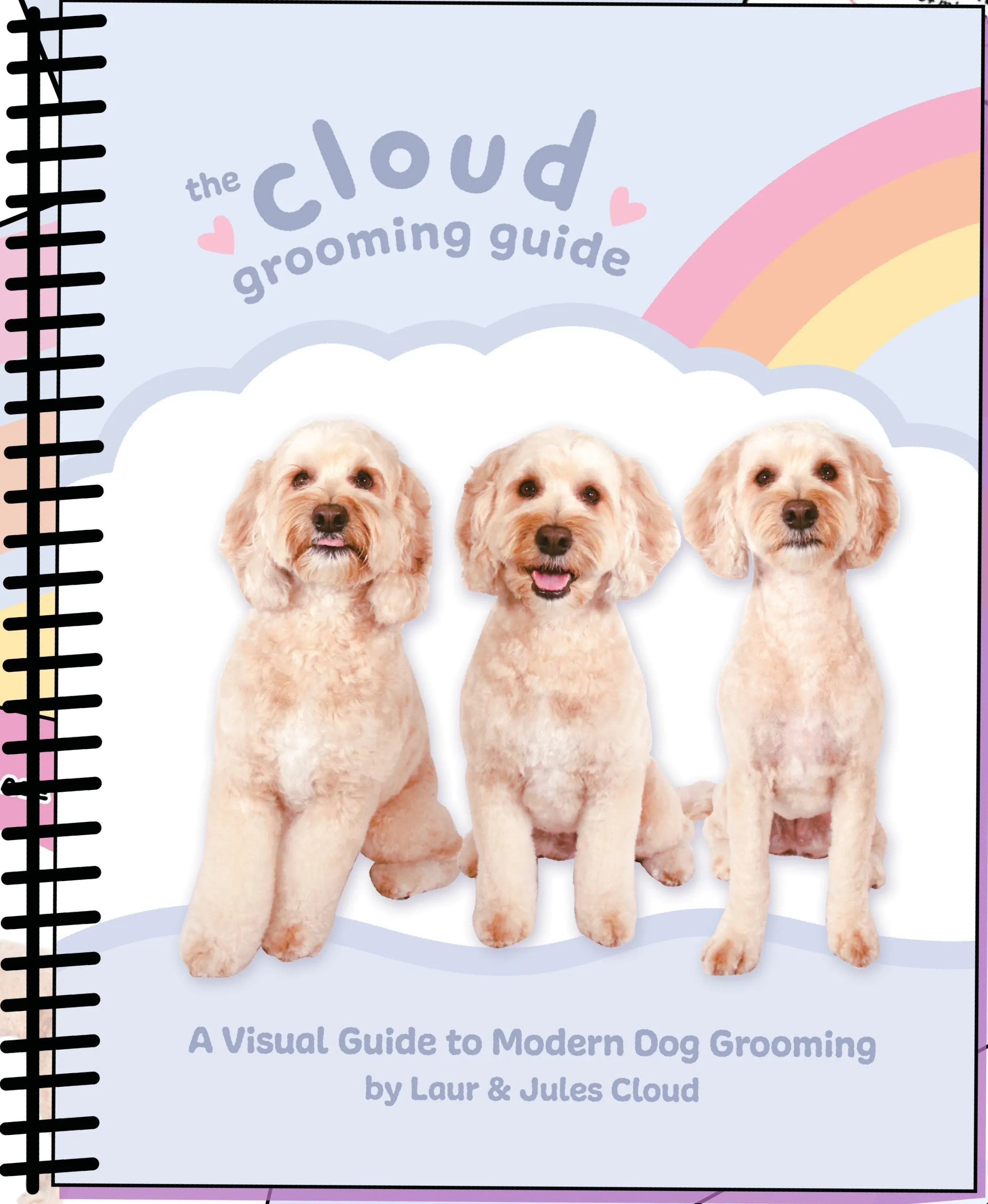 Cloud Grooming Guide