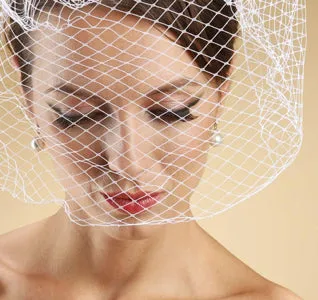 French Netting Birdcage Face Bridal Veil