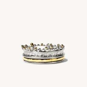 Majestic Crown Spinning Ring