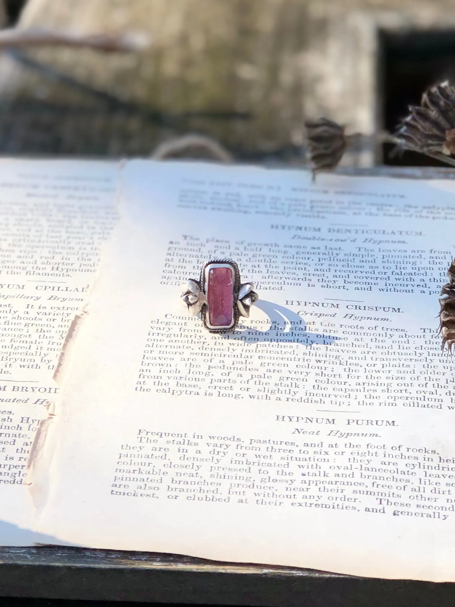 Pink Tourmaline Succulent Bar Ring