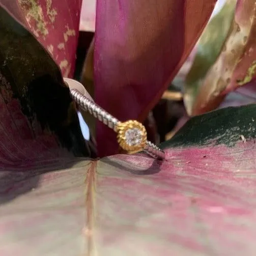 Rope Ring with Bezel